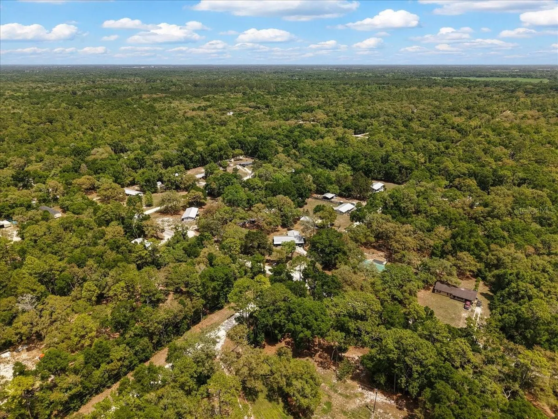 8731 NW 127th Place Chiefland FL 32626