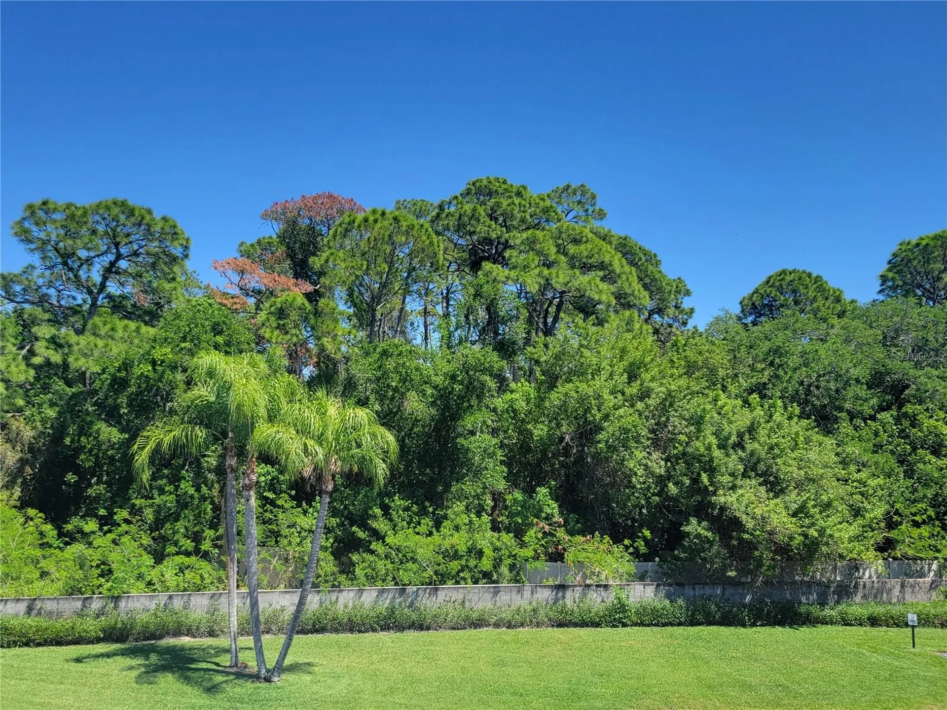 4720 Locust Street NE St Petersburg FL 33703