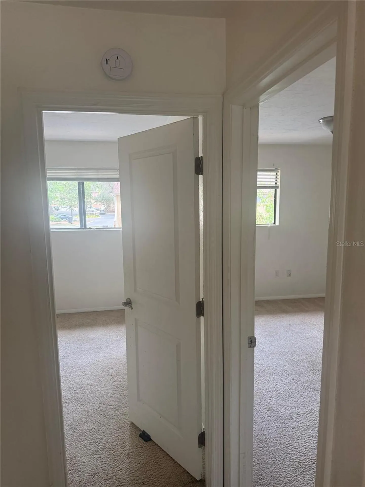 507 NW 39th Road Gainesville FL 32607