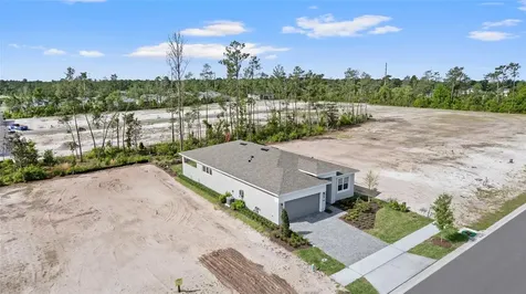 1293 Twin Farms Court Deland FL 32724