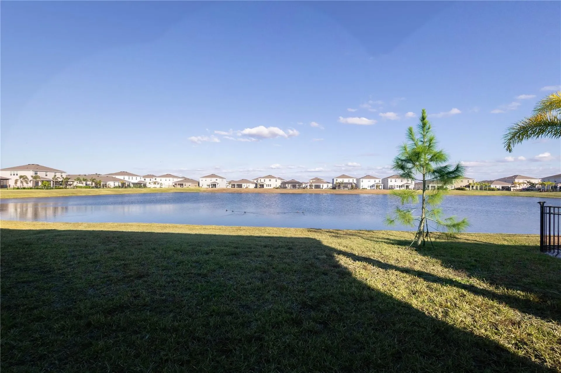345 Mangrove Manor Drive Apollo Beach FL 33572