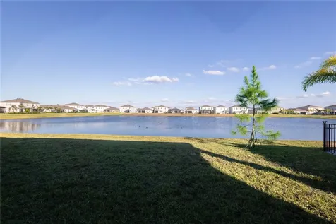345 Mangrove Manor Drive Apollo Beach FL 33572