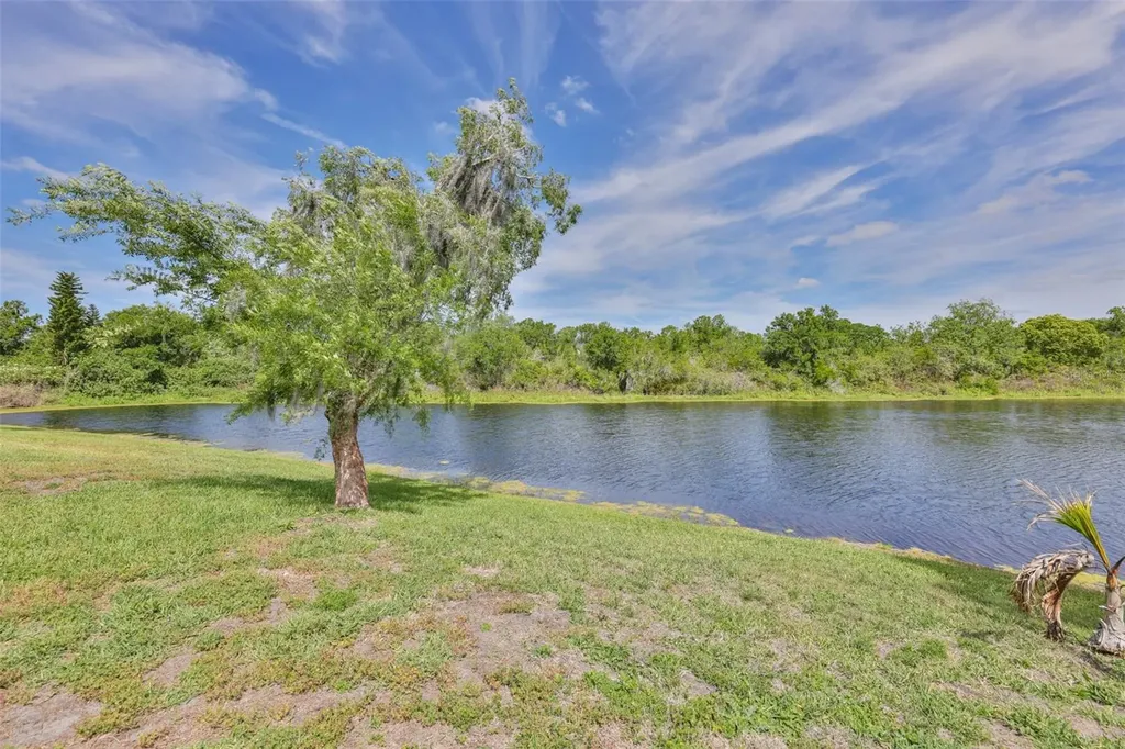 13016 Prestwick Drive Riverview FL 33579