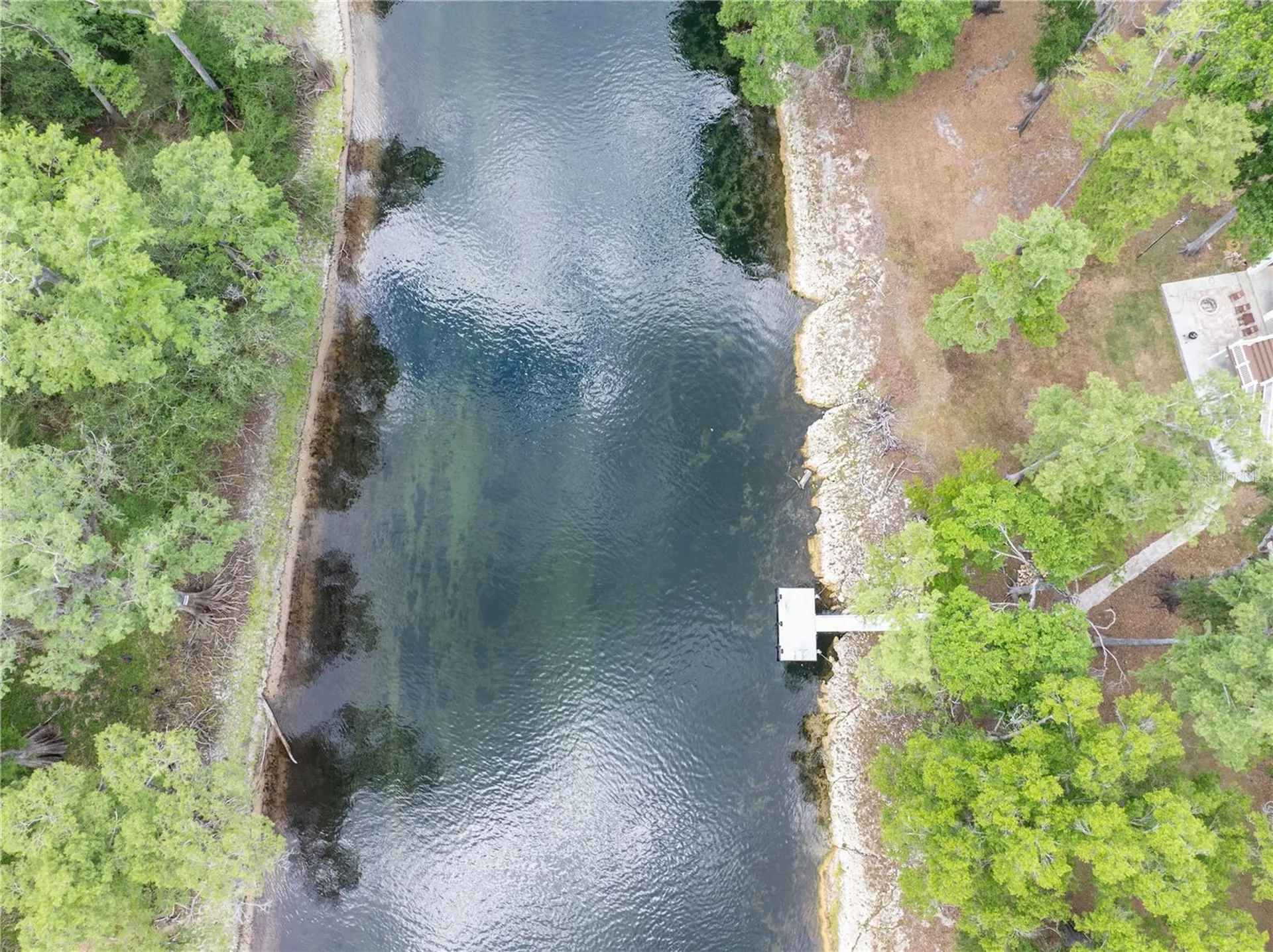 12890 NE 21st Terrace Branford FL 32008