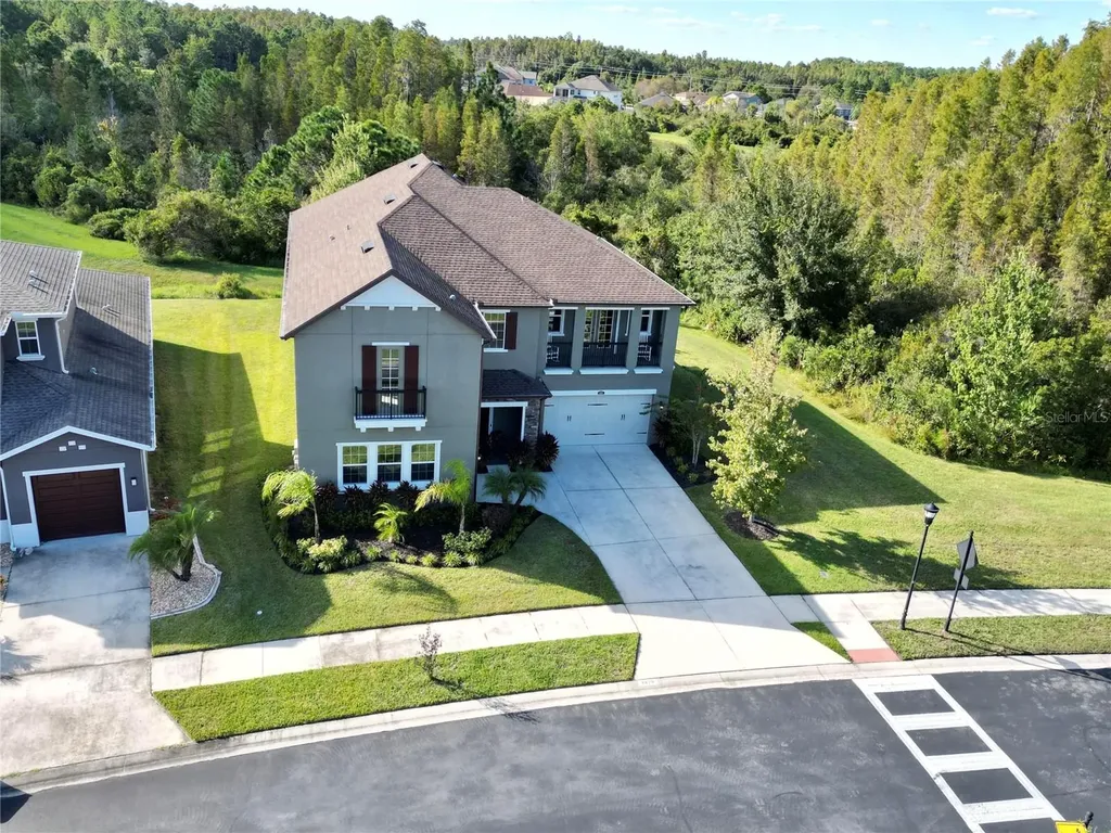 1879 Whitewillow Drive Wesley Chapel FL 33543