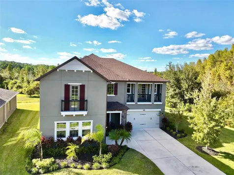 1879 Whitewillow Drive Wesley Chapel FL 33543