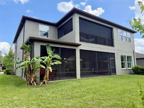 1879 Whitewillow Drive Wesley Chapel FL 33543