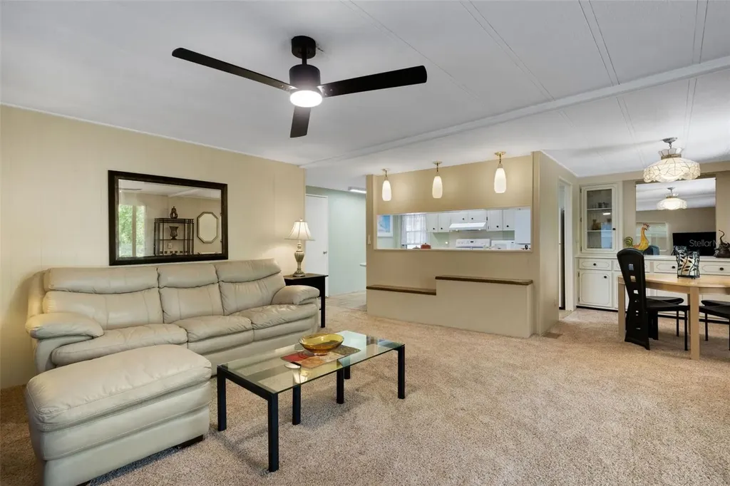98 Cedar Elm Drive Safety Harbor FL 34695