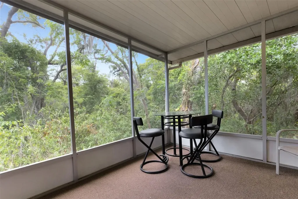 98 Cedar Elm Drive Safety Harbor FL 34695