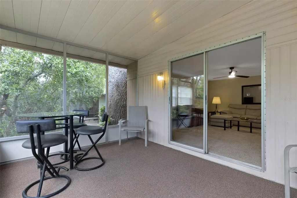 98 Cedar Elm Drive Safety Harbor FL 34695