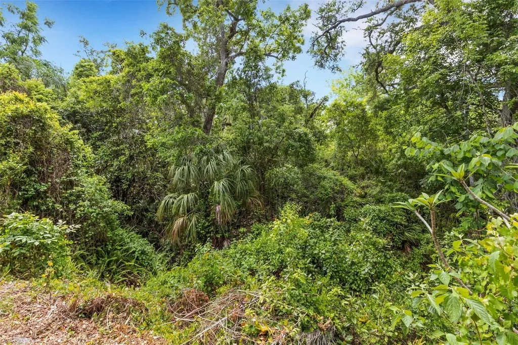 98 Cedar Elm Drive Safety Harbor FL 34695