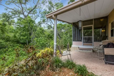 98 Cedar Elm Drive Safety Harbor FL 34695