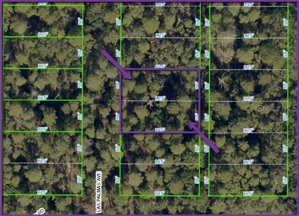 0 Las Palmas Avenue Spring Hill FL 34606