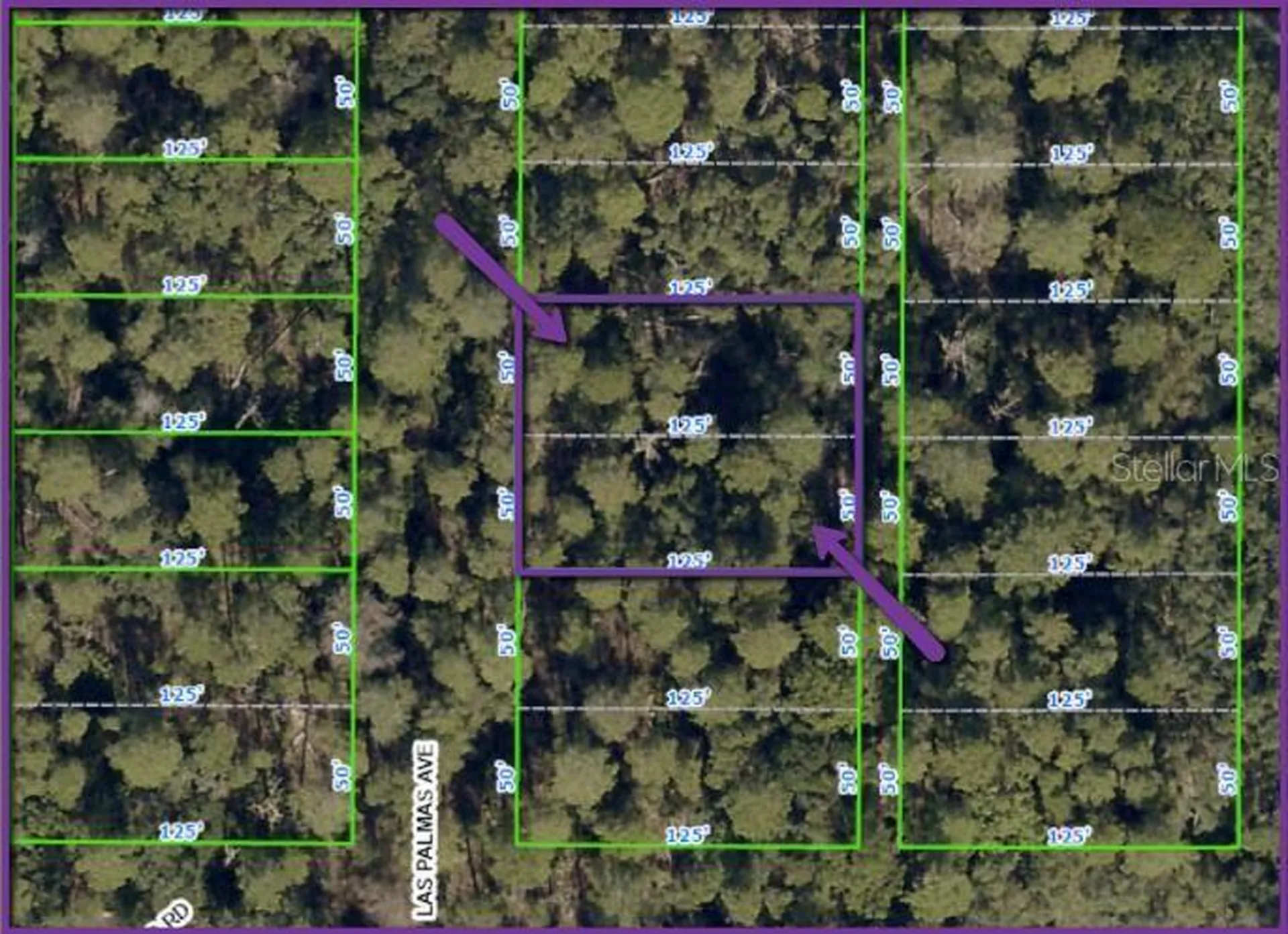 0 Las Palmas Avenue Spring Hill FL 34606