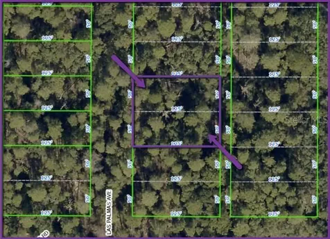 0 Las Palmas Avenue Spring Hill FL 34606