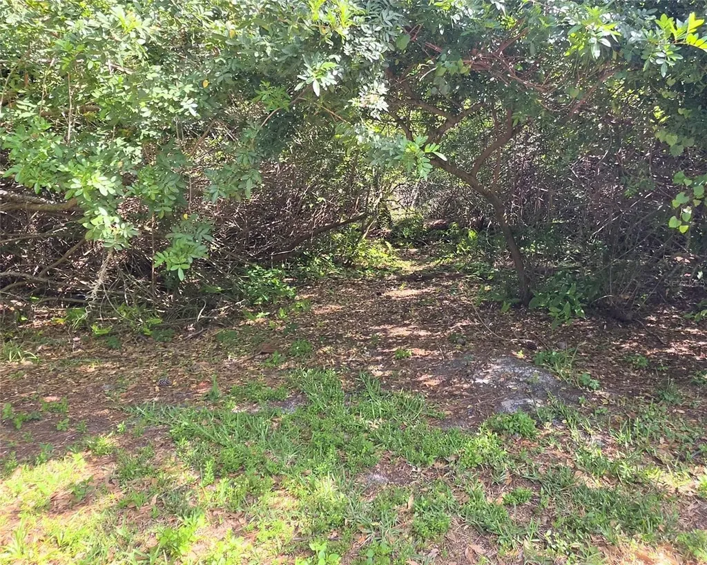 3853 Stratfield Drive New Port Richey FL 34652