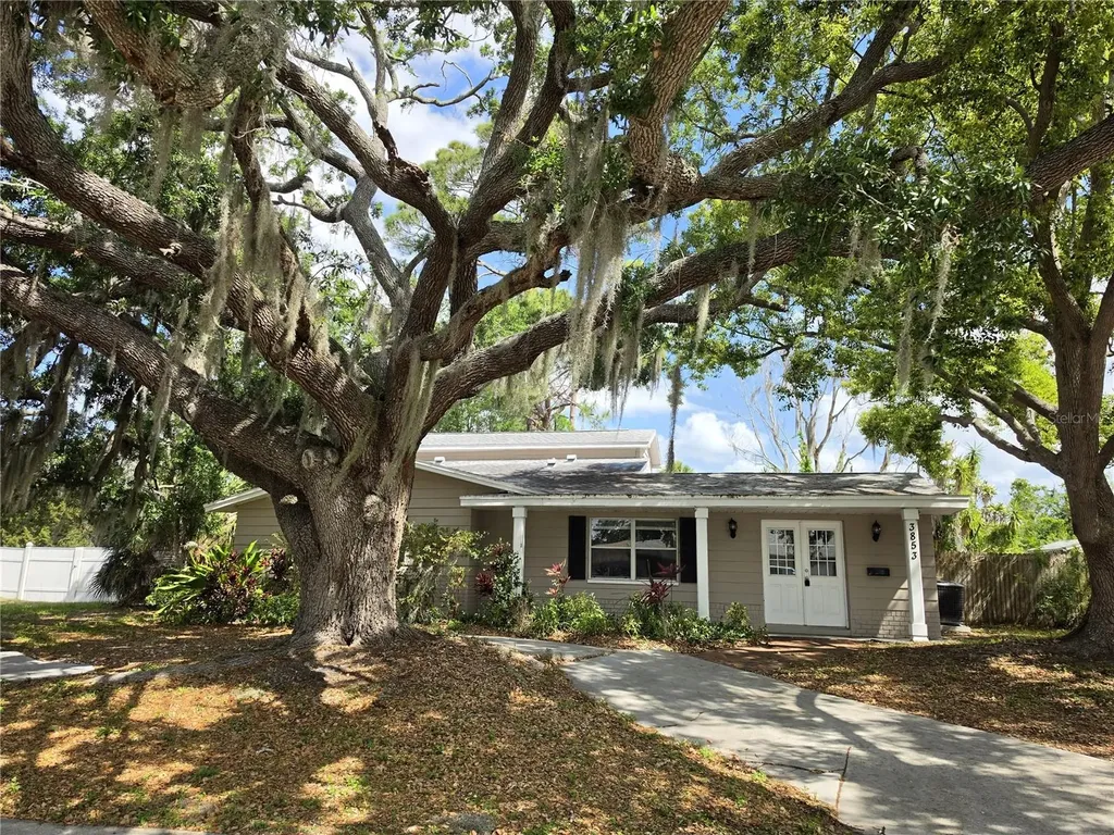 3853 Stratfield Drive New Port Richey FL 34652