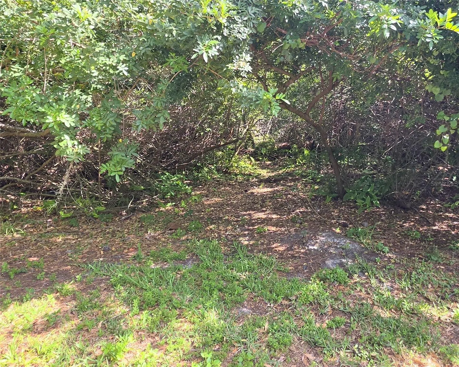 3853 Stratfield Drive New Port Richey FL 34652