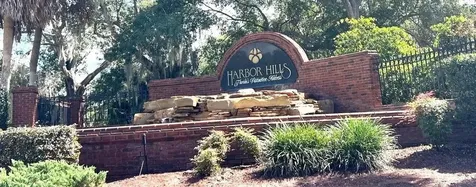 39654 Grove Heights Lady Lake FL 32159