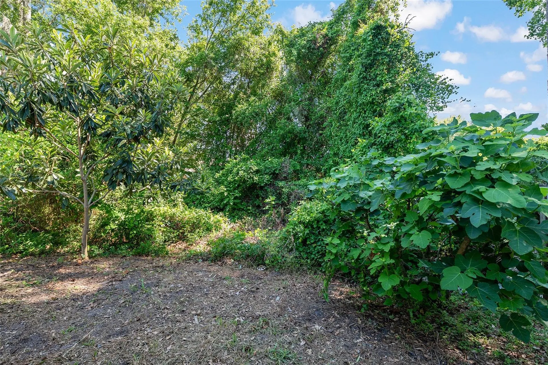 4939 NW 81st Avenue Gainesville FL 32653