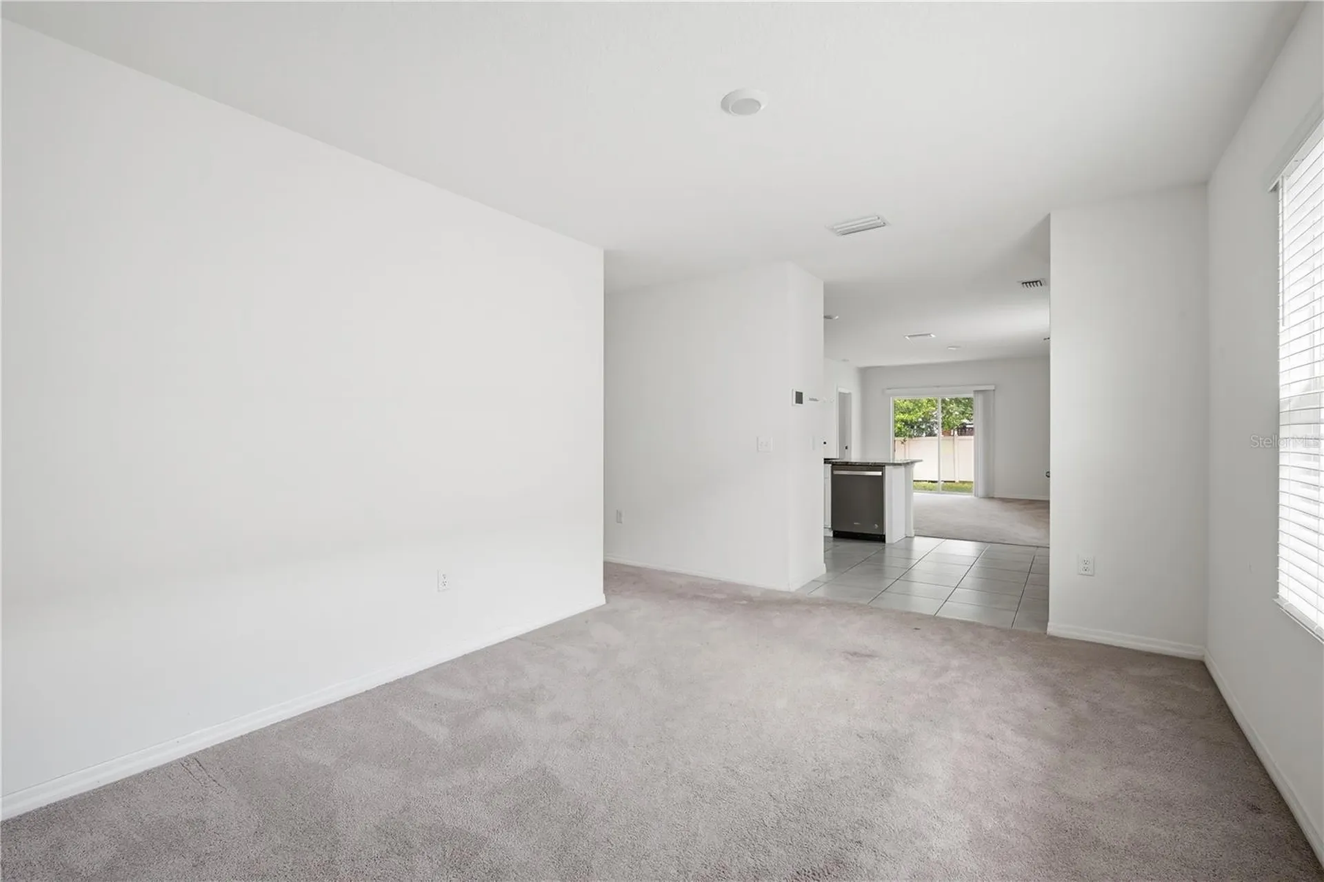 5217 Hillside Meadow Place Tampa FL 33610