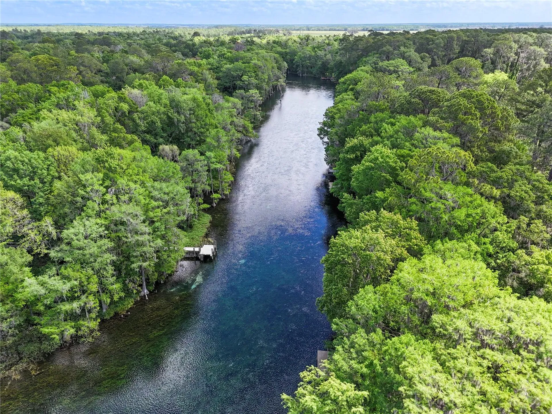 11160 SW 190th Avenue Dunnellon FL 34431