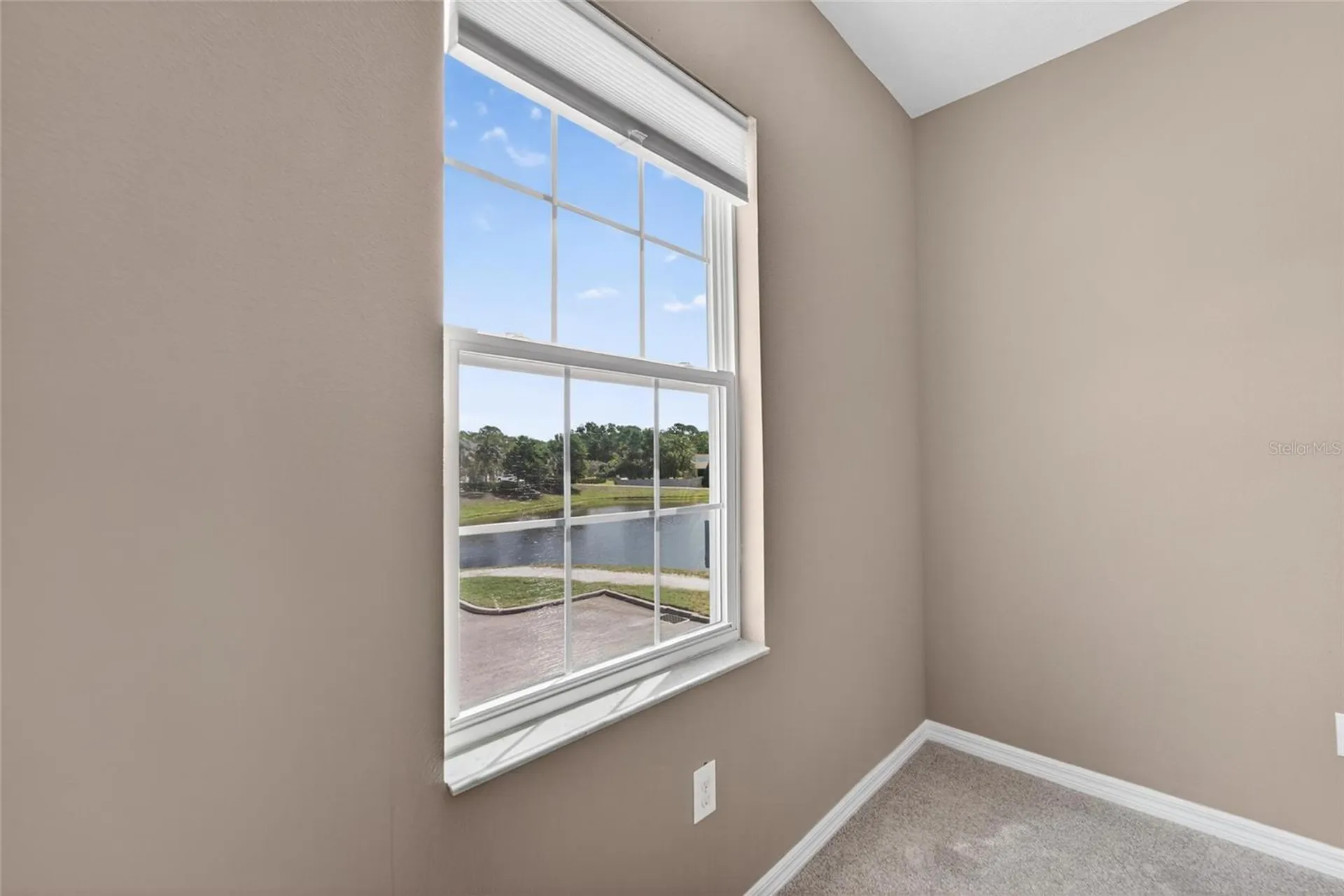 8108 Muddy Pines Place Tampa FL 33635