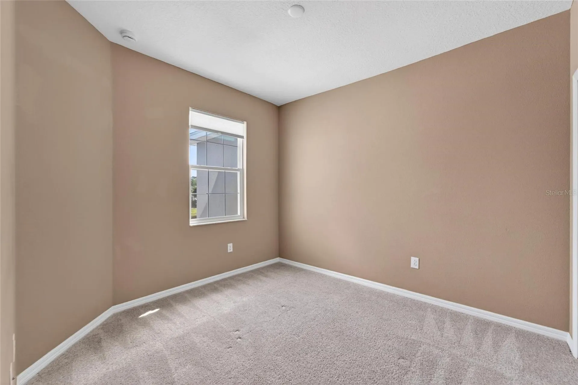 8108 Muddy Pines Place Tampa FL 33635