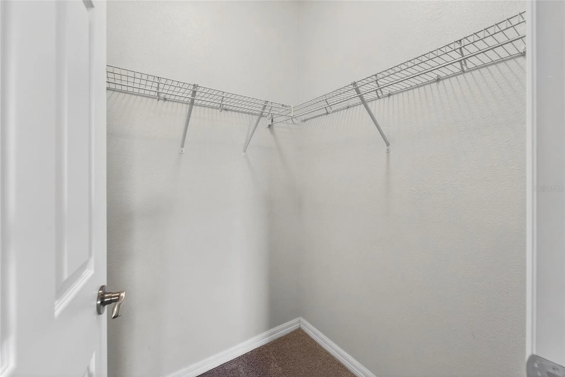 8108 Muddy Pines Place Tampa FL 33635