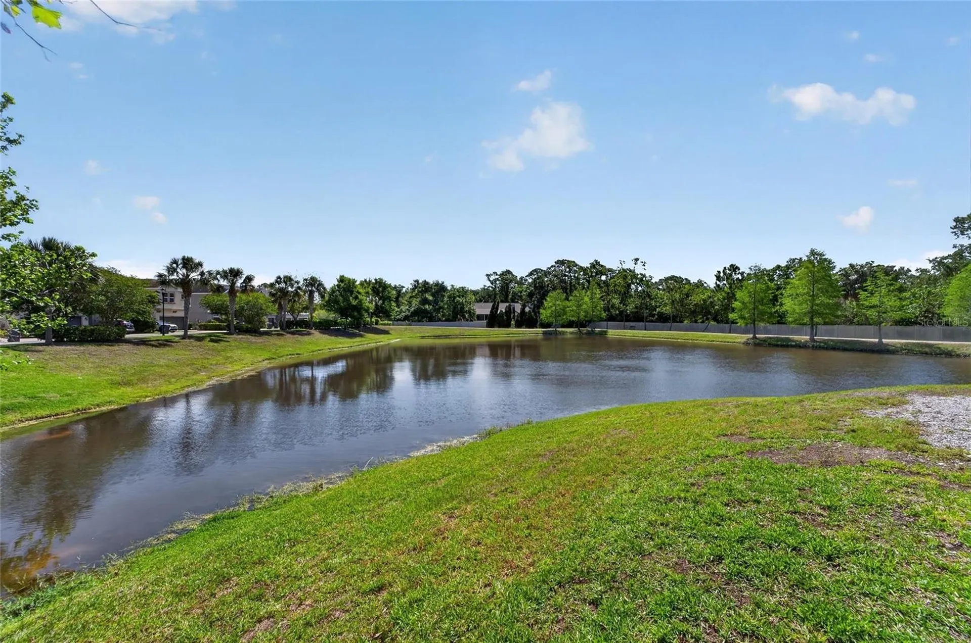 8108 Muddy Pines Place Tampa FL 33635