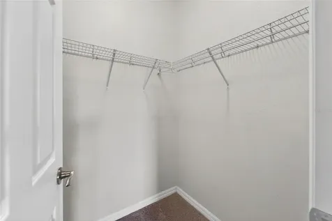 8108 Muddy Pines Place Tampa FL 33635