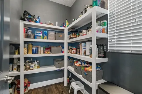 4051 Mellon Drive Odessa FL 33556