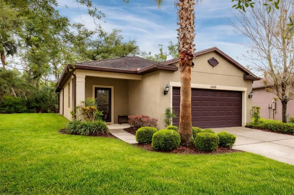 6408 Yellow Buckeye Drive Riverview FL 33578