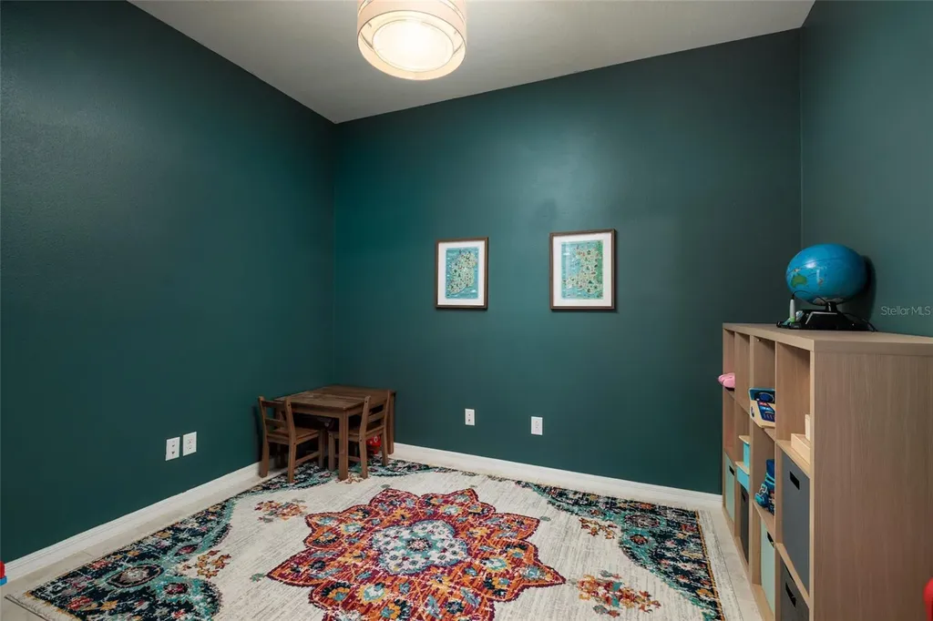 6408 Yellow Buckeye Drive Riverview FL 33578