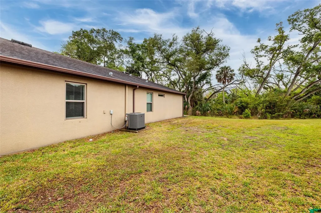 6408 Yellow Buckeye Drive Riverview FL 33578