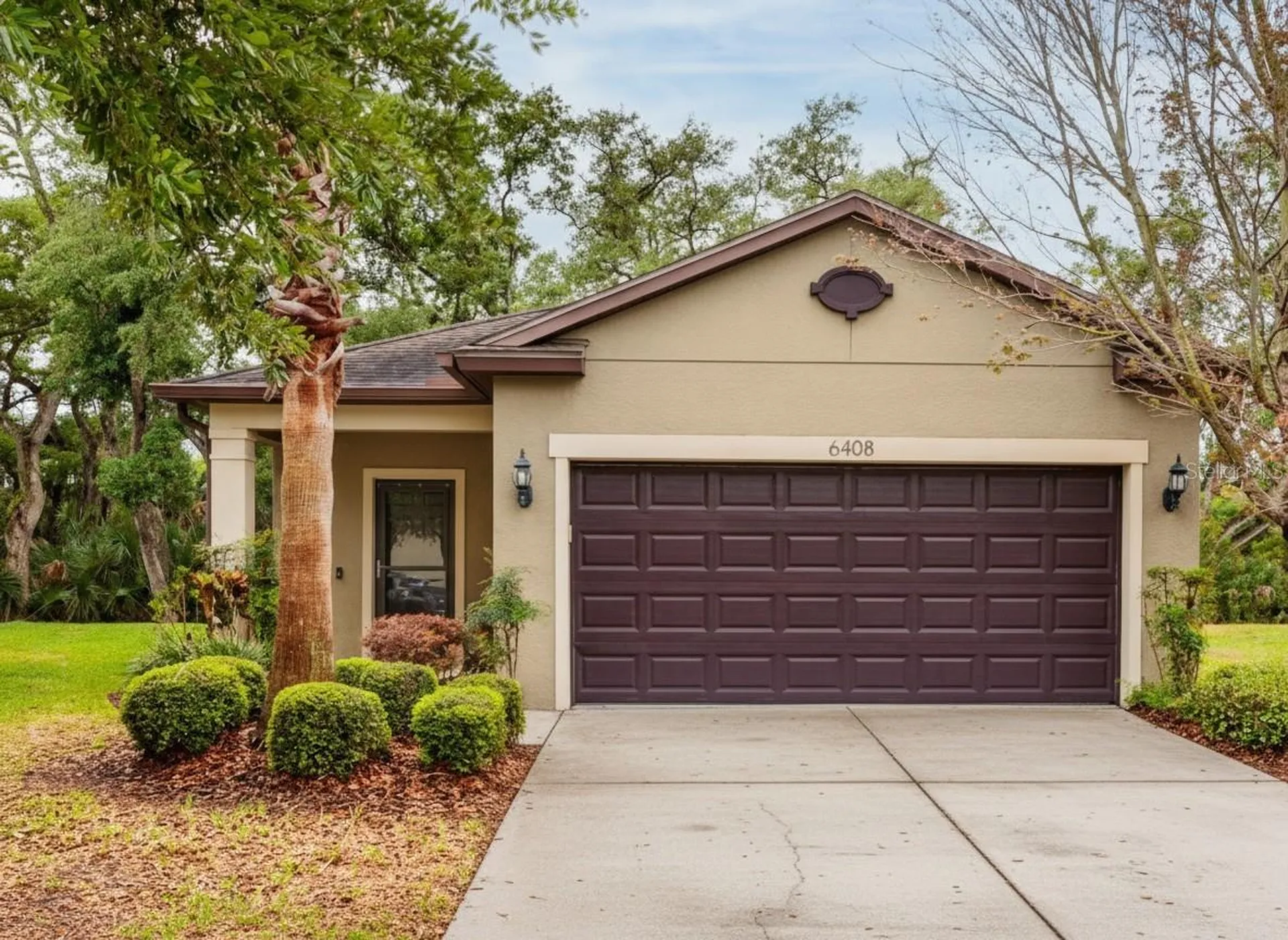 6408 Yellow Buckeye Drive Riverview FL 33578