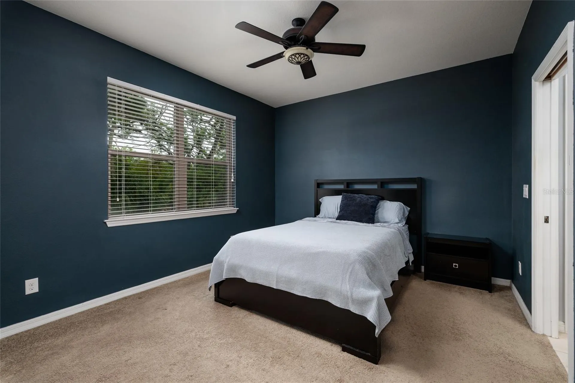 6408 Yellow Buckeye Drive Riverview FL 33578