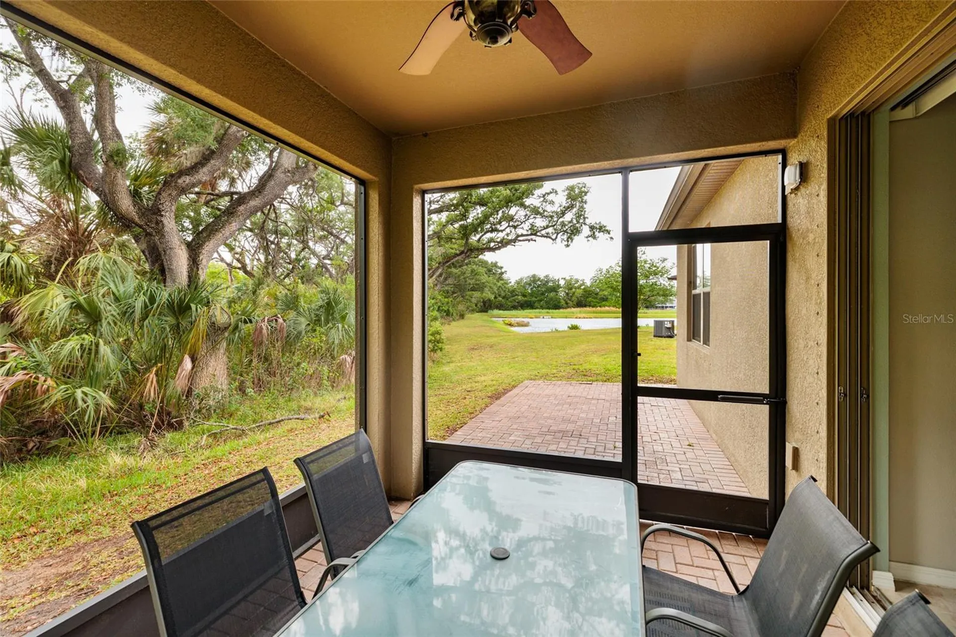 6408 Yellow Buckeye Drive Riverview FL 33578