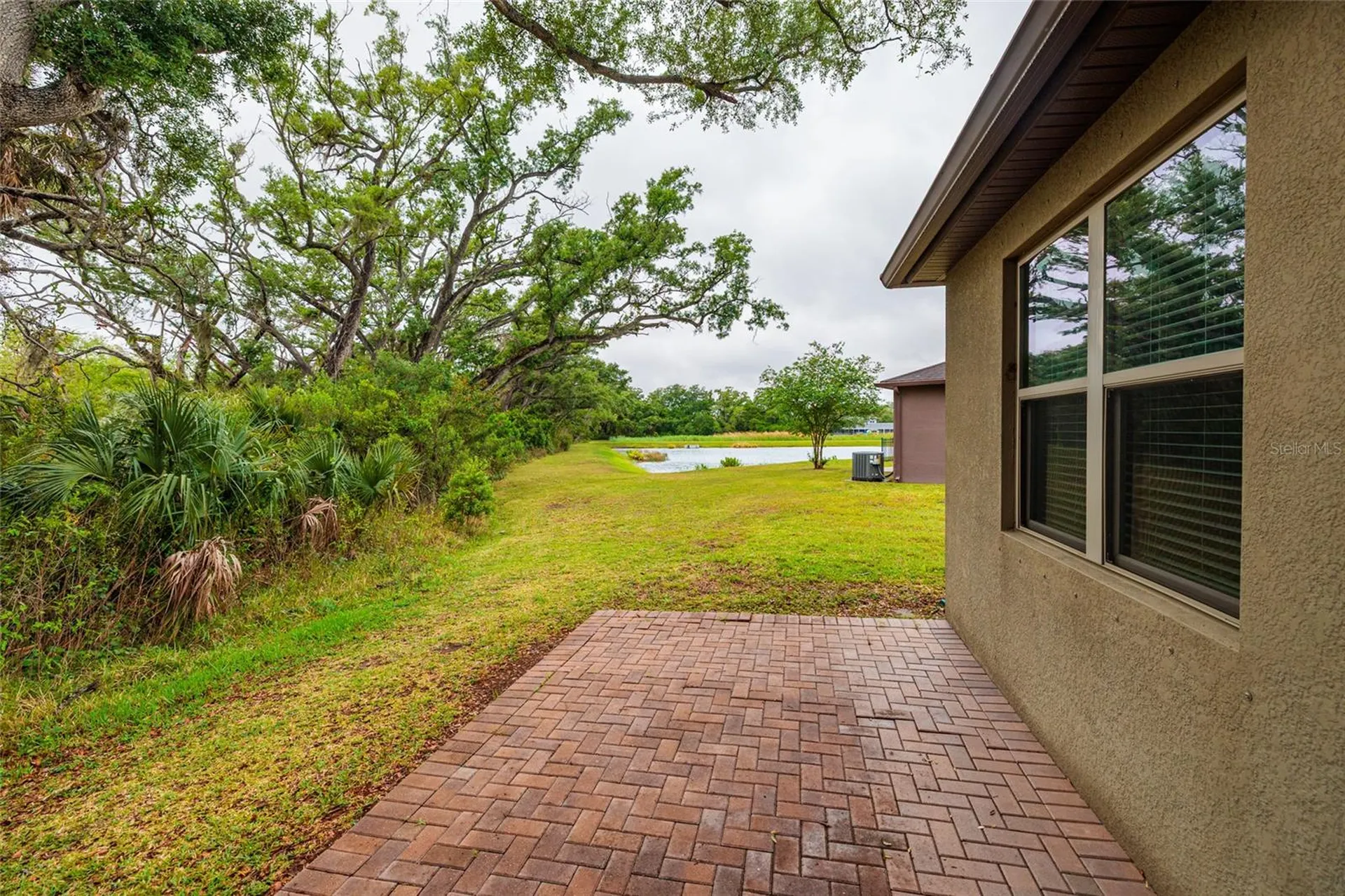 6408 Yellow Buckeye Drive Riverview FL 33578