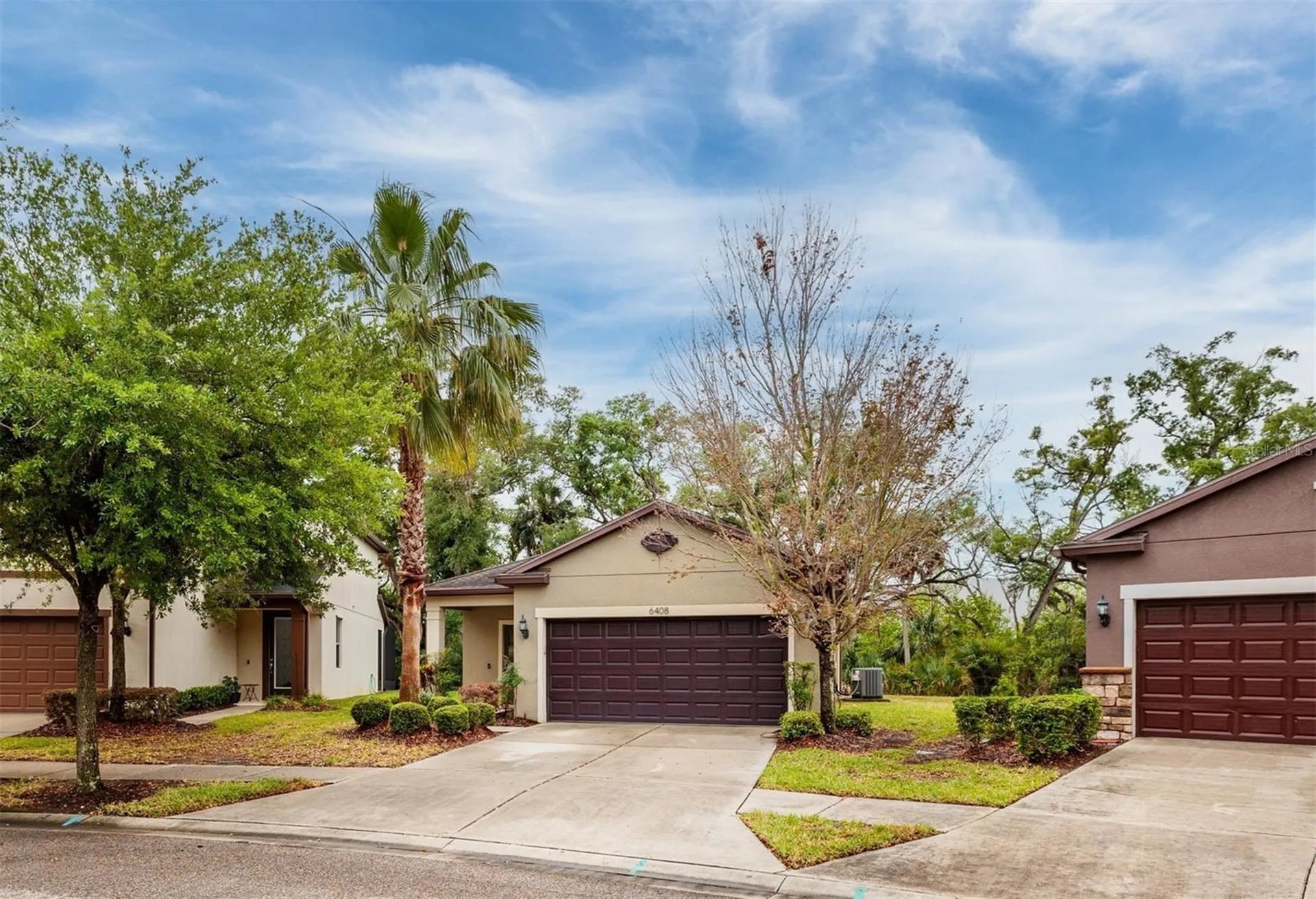 6408 Yellow Buckeye Drive Riverview FL 33578