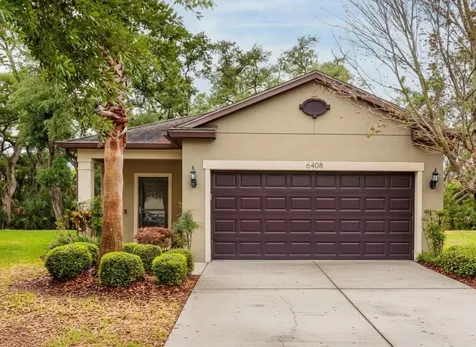 6408 Yellow Buckeye Drive Riverview FL 33578