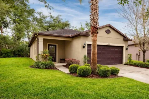 6408 Yellow Buckeye Drive Riverview FL 33578