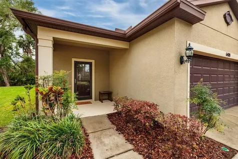 6408 Yellow Buckeye Drive Riverview FL 33578