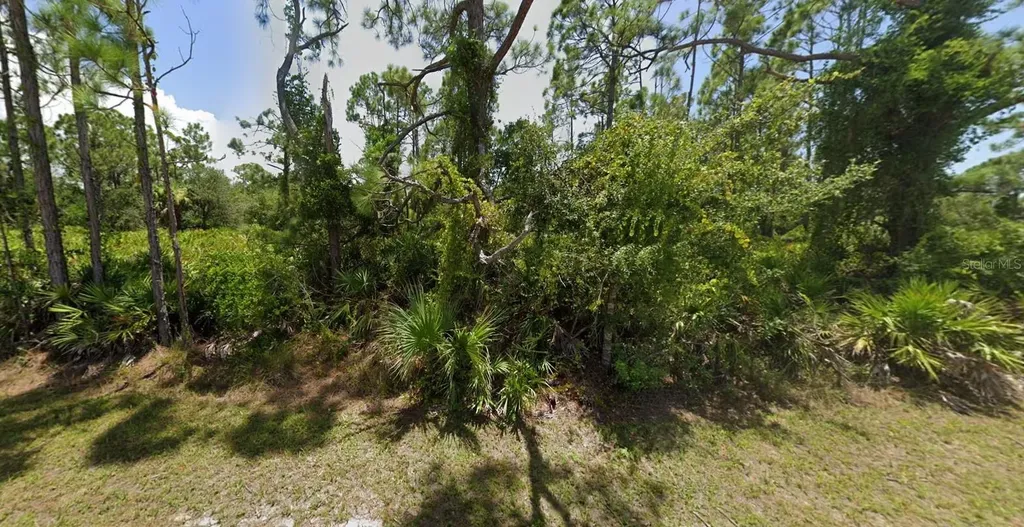 27043 Tangier Drive Punta Gorda FL 33955