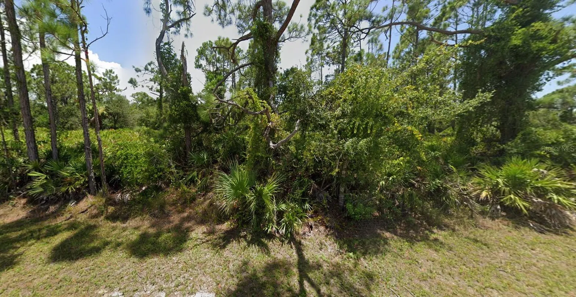 27043 Tangier Drive Punta Gorda FL 33955
