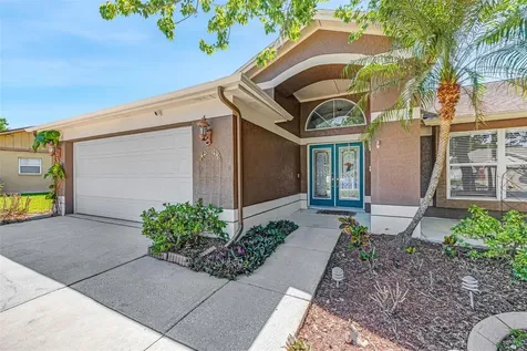 3006 Sprawling Oaks Place Valrico FL 33596
