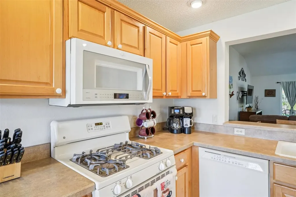16596 SE 77th Northridge Court The Villages FL 32162
