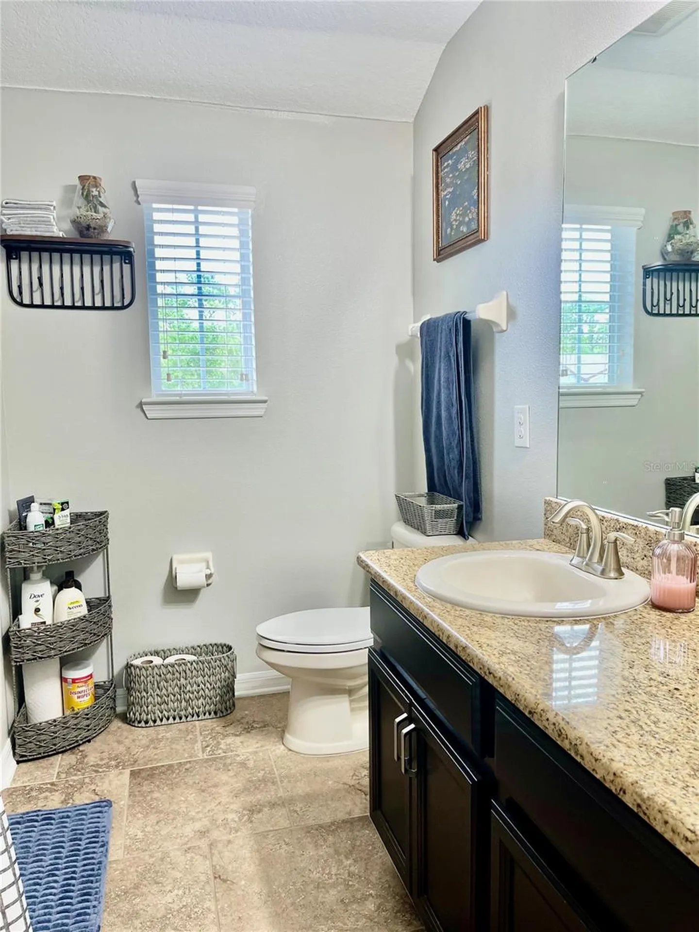 1033 Fountain Coin Loop Orlando FL 32828