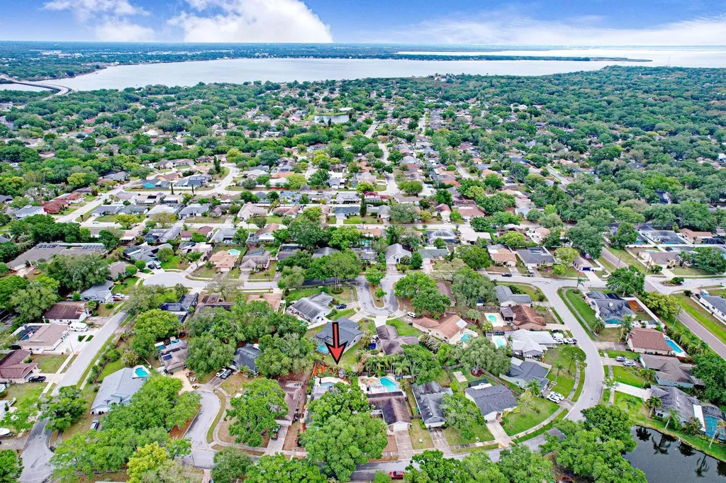 3116 Coventry Lane Safety Harbor FL 34695