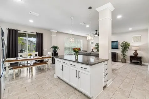14304 Parkside Ridge Way Lithia FL 33547